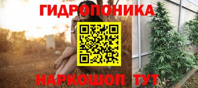 a pvp Заводоуковск