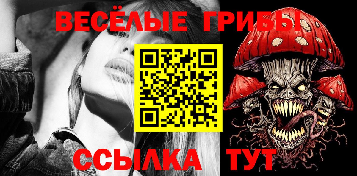 Псилоцибиновые грибы Cubensis Кызыл