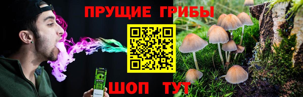 Псилоцибиновые грибы Psilocybine cubensis  Вход с VPN  Кызыл 