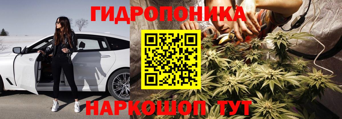 Марихуана сатива Кызыл